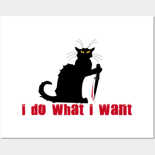 I Do What I Want Black Cat Posters and Art